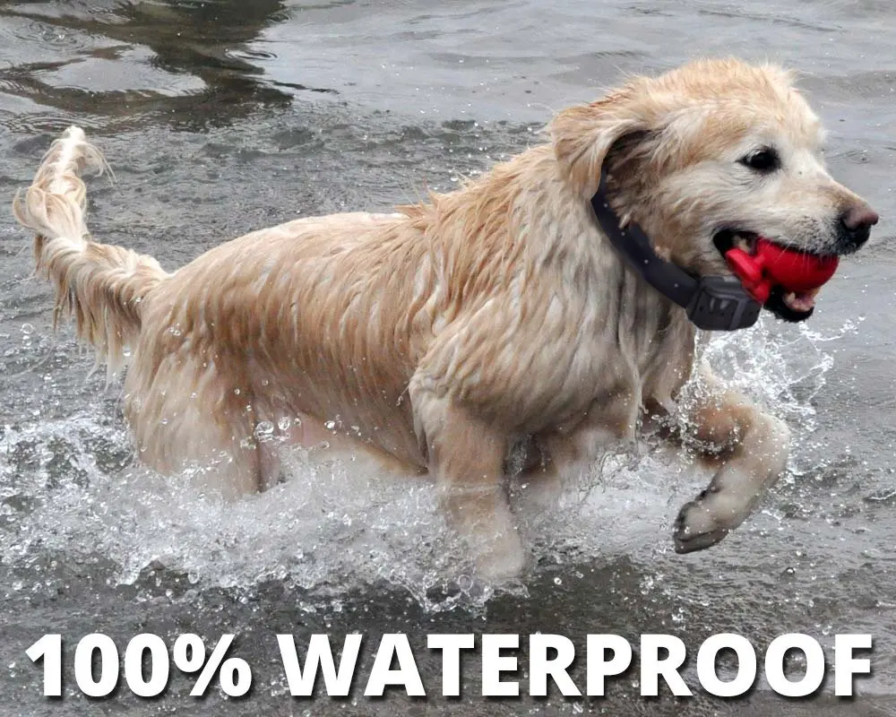 100%waterproof dog training collar