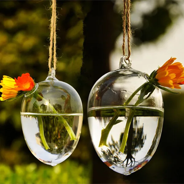 Egg Shaped Glass Terrarium Vase Hanging Hydroponic Plants Terrarium