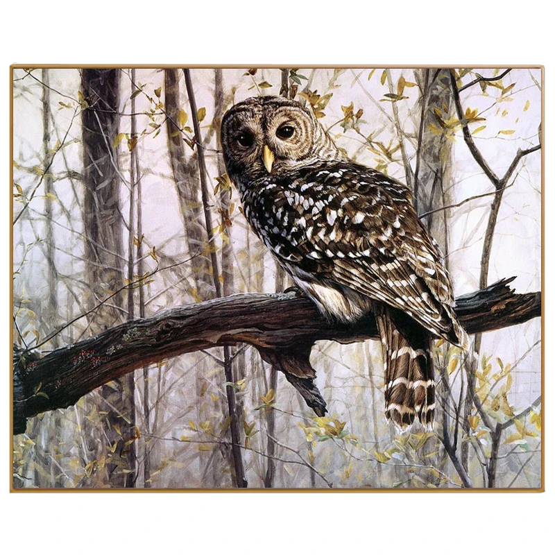PHKV Owl Oil Painting By Numbers On Canvas DIY Hand painted Modern Animal Coloring New Year Home Decoration | Дом и сад