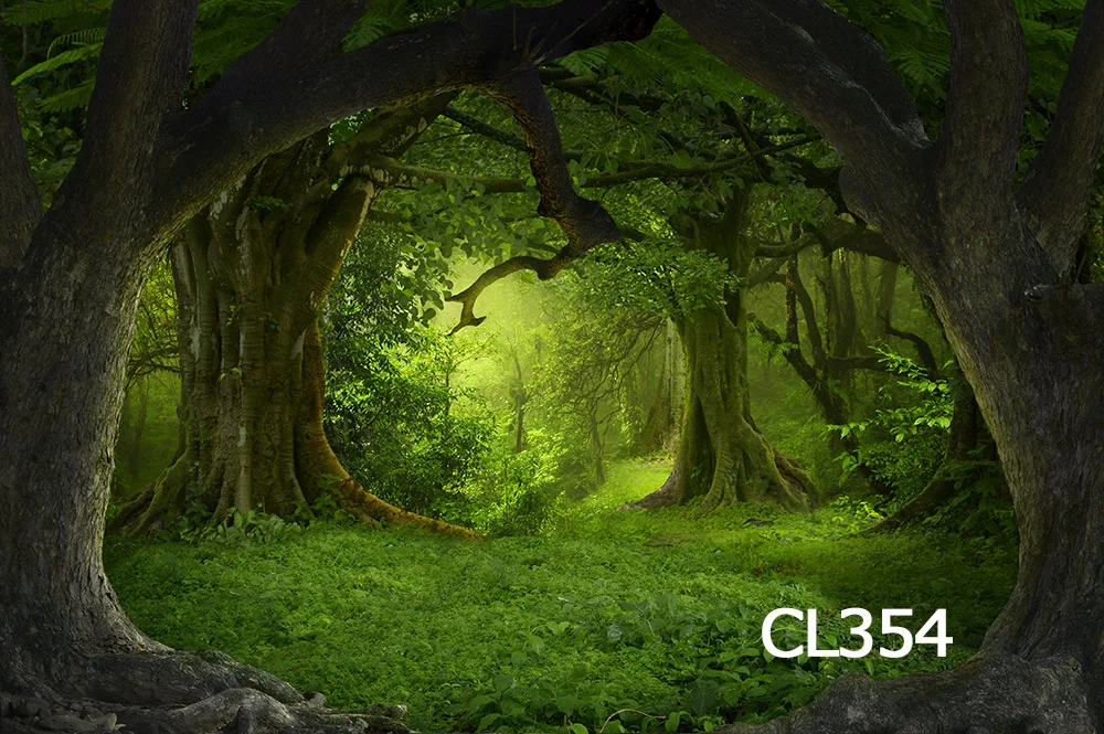 CL354