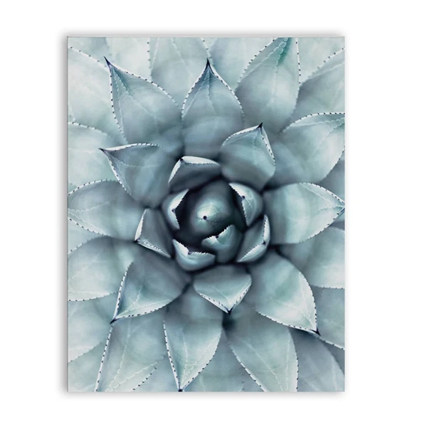 Succulent-Plants-Agave-Canvas-Painting-Poster-Wall-Art-Decor-Agave-Canvas-Print-Wall-Picture-Modern-Tropical (5)
