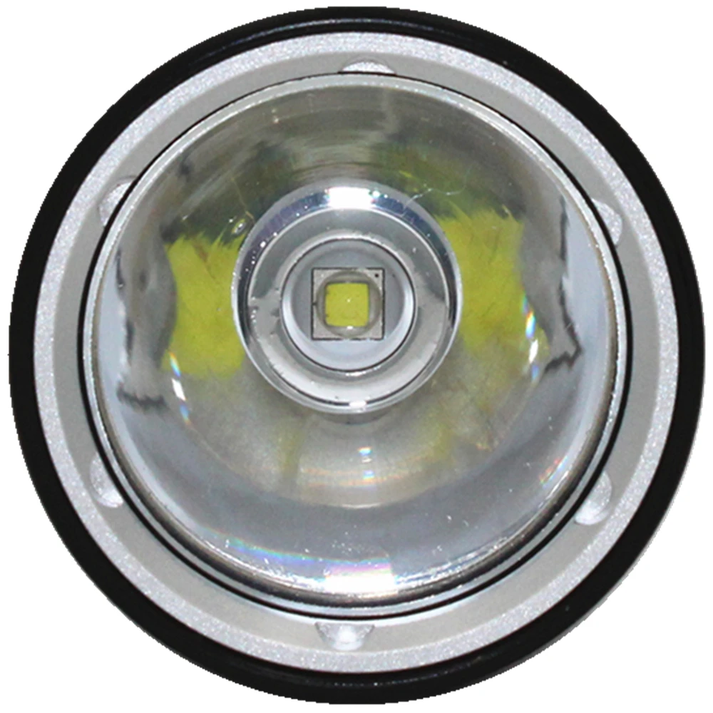 DL0005 (5)