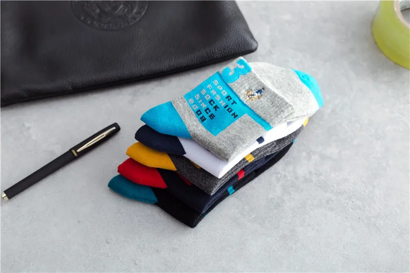 4511896170_889649093