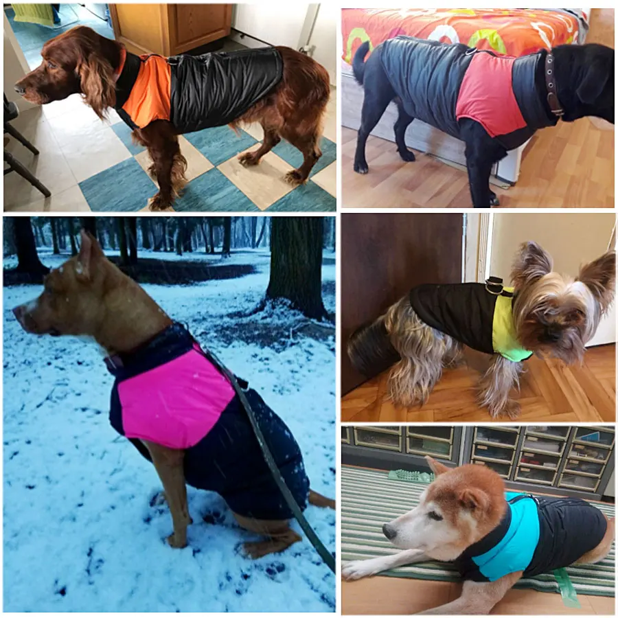 للماء كلب جرو سترة سترة التزلج الخريف/الشتاء الدافئة الكلب الملابس معطف ل صغيرة كلاب متوسطة وكبيرة الحجم 6 اللون