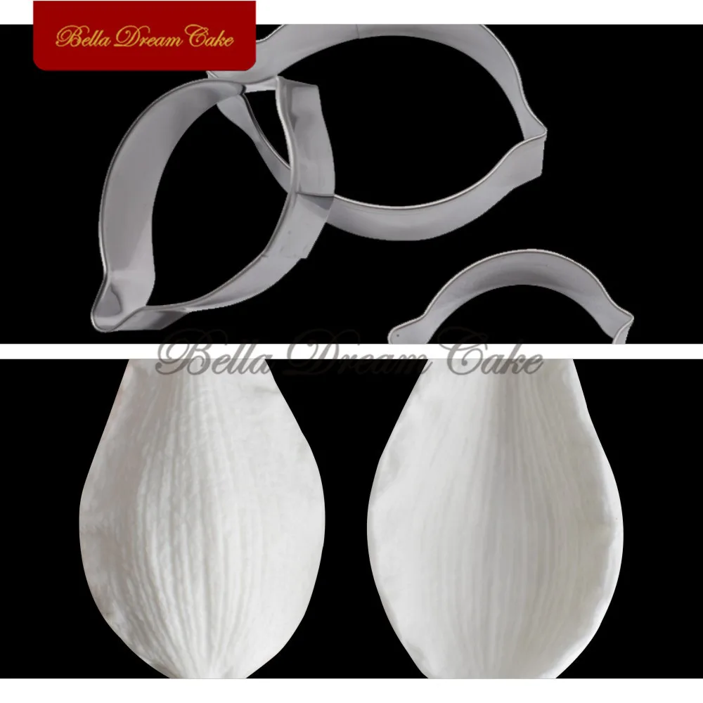 Jasmine Flower-4