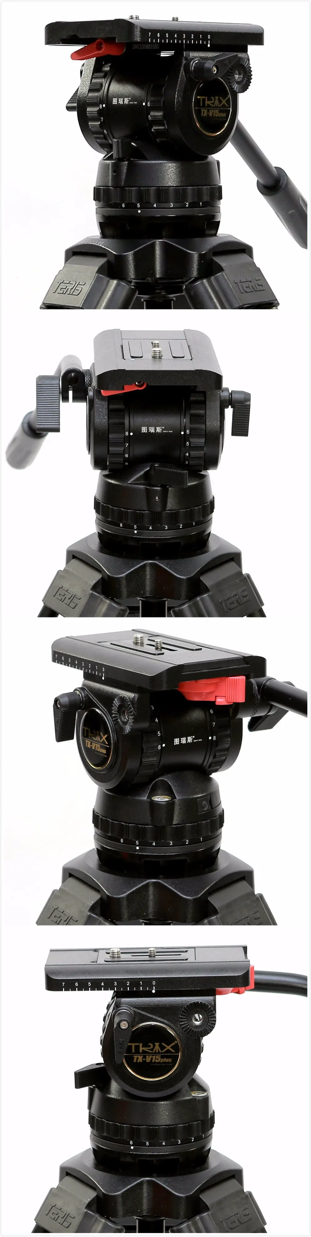 V15 HEAD