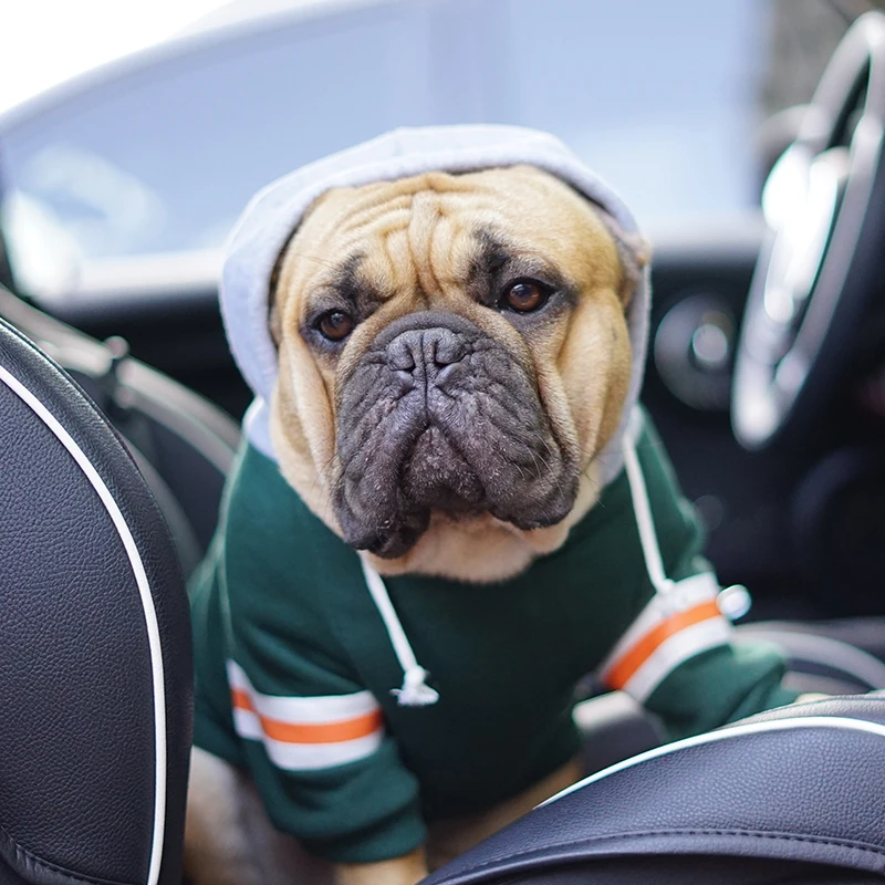 Felpa Con Cappuccio Per Cani Senza Maniche - Blocchi Di Colore, Rosa XL - Foto 6