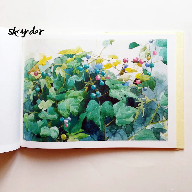 Цветы и феи в поле детская книга с картинками от Mitsumasa Anno китайское издание упрощенный китайский размер А4