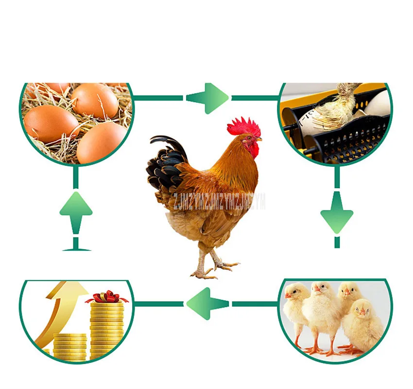 300 Вт автоматический 880 шт. емкость инкубатор для яиц инкубатор для курицы утка гусь птица яйца Хо использовать держать использовать 220 В