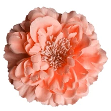 HTHL! украшения бисером розовые тканевые пионы, цветы стиль конский хвост держатель заколка для волос брошь