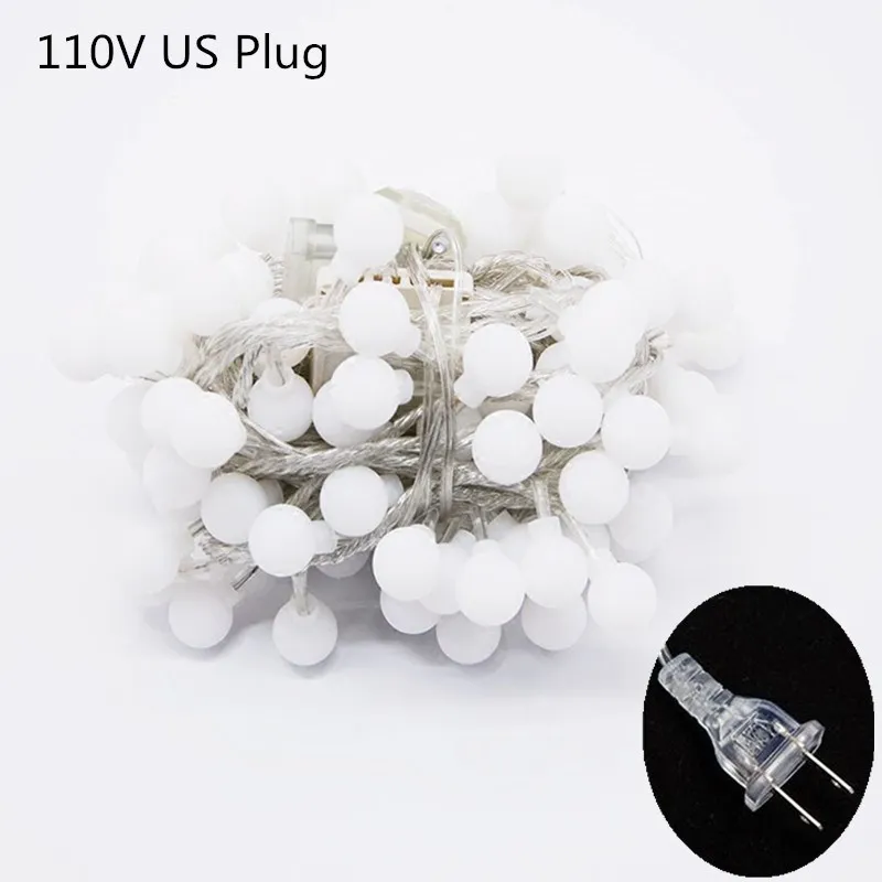US 110V