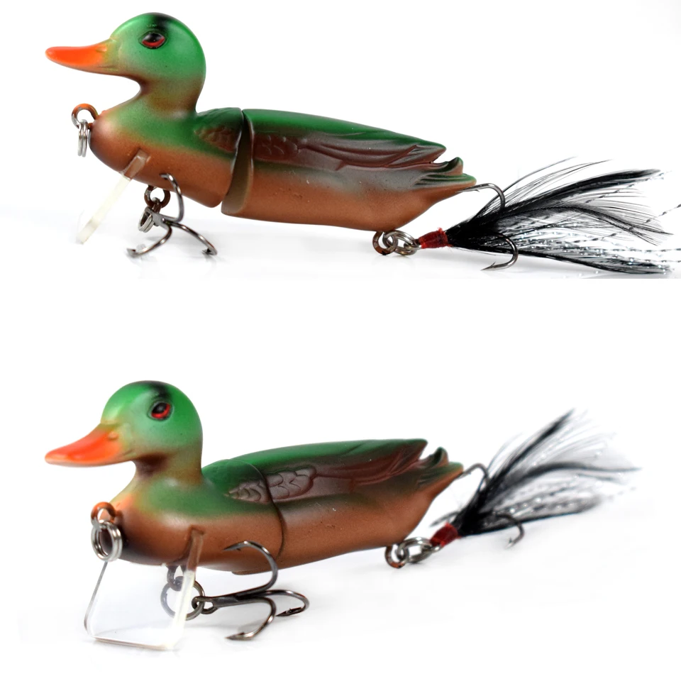 duck02a-1