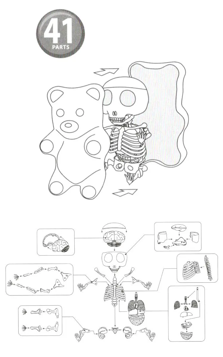 4D MASTER STEM анатомическая модель Gummi Bear Скелет Аниме Фигурка взрослые дети подарки научная модель животного