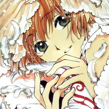 Download Sakura Tsubasa Chronicle Buy Sakura Tsubasa Chronicle With Free HD Get Wallpaper Sakura Tsubasa Chronicle Buy Sakura Tsubasa Chronicle With Free For iPhone
