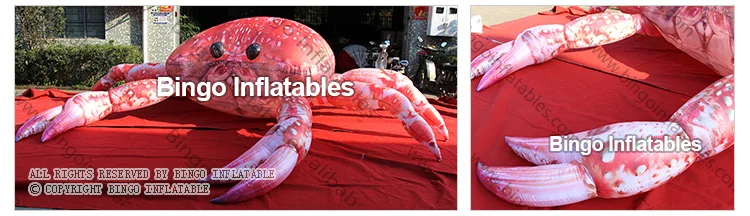 BG-A1208-2-Inflatable-crabs-bingoinflatables_03