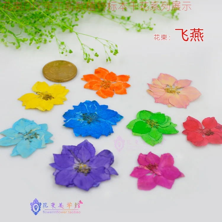 Цветок приглашение Feiyan цветы _ DIY прессованный высушенный цветы|flowers diy|flowers