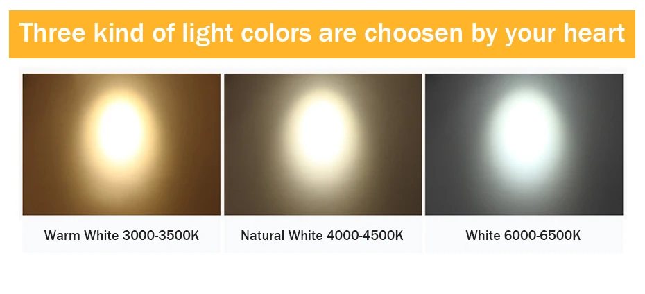 LED Downlights  (28)