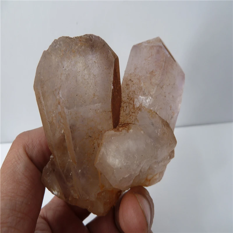 P1500271