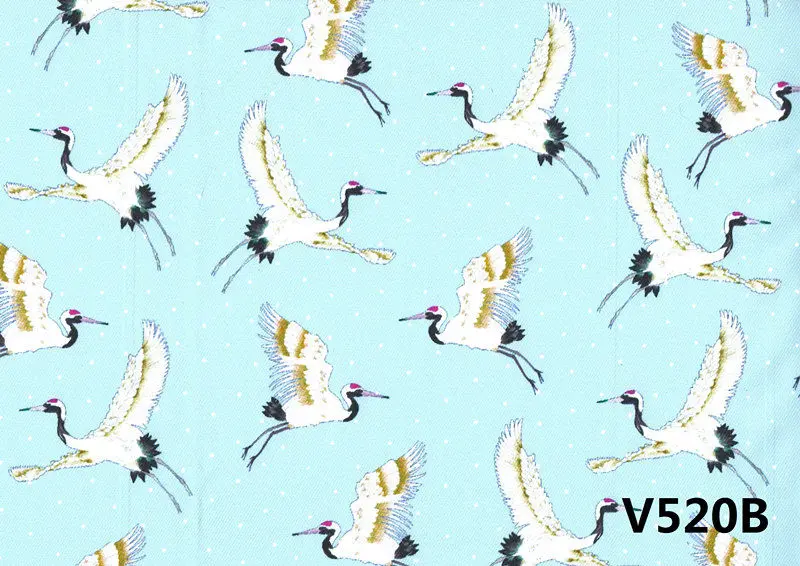 V520B
