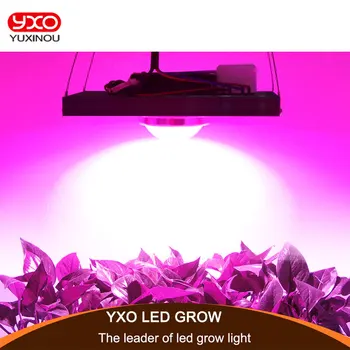 

COB LED Grow Light Full Spectrum Actual Power 100W 200W 300W 500W LED Plant Grow Lamp for Indoor Plants Veg & Flowering Stage