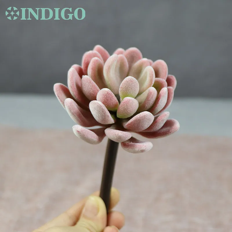 Индиго-Плюшевый Лотос эчеверия элегантность искусственное суккулентное растение пластиковые цветочные украшения стены фон