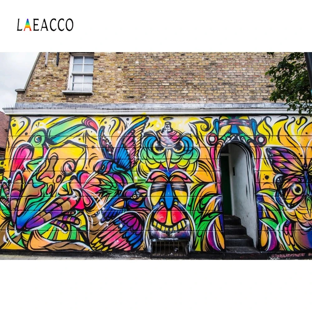Laeacco 落書き壁フクロウの絵の写真の背景ストリート肖像シーン写真の背景の写真スタジオ Aliexpress Consumer Electronics