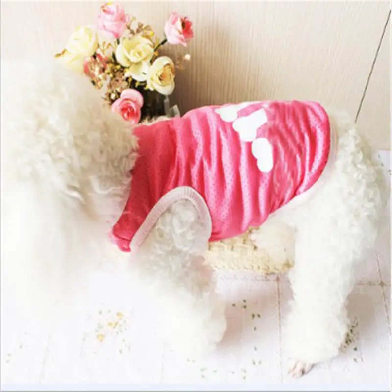 QQ20190210151249