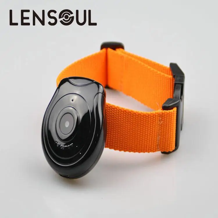 

lensoul Dog Puppy Cat Digital 480P Camera Safety Cam Video Recorder Monitor DVR Black With Pets Collar security zmukovoi recorde