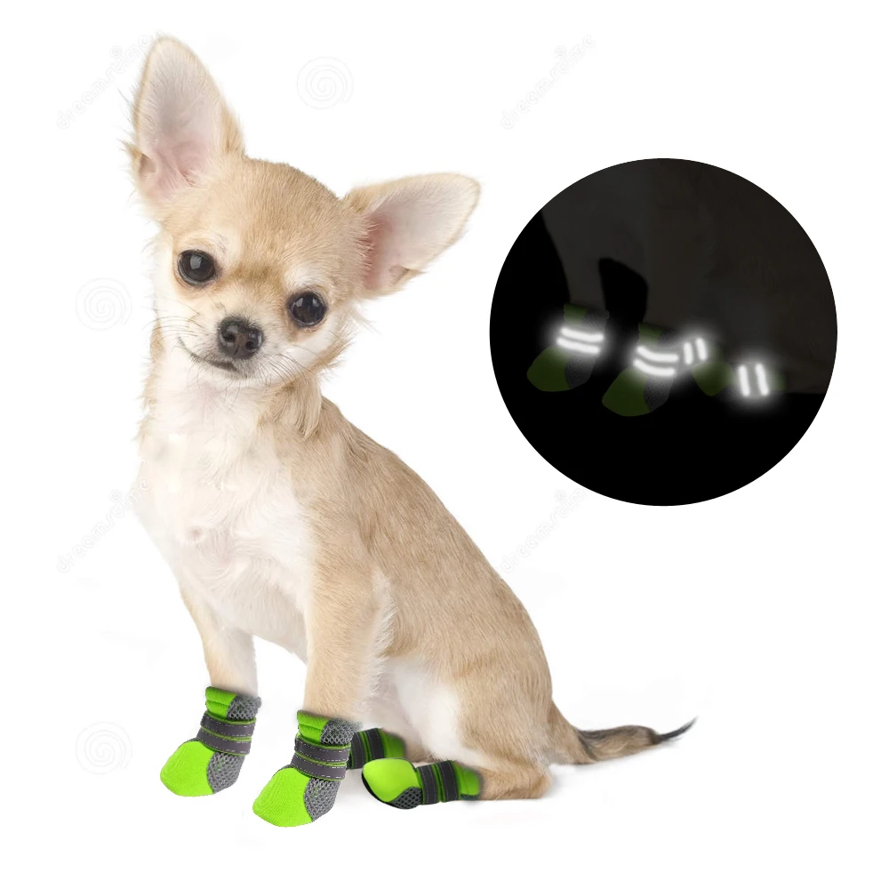 Köpek ayakkabısı