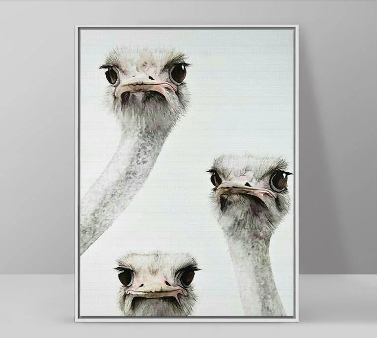 

Modern Home Decoration Animals Canvas Painting Three Curious Ostrich Heads Nordic Style Kids Room Wall Art Picture Print Posters
