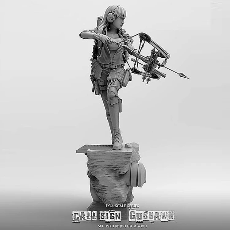 

1/24, Call Sign Goshawk, Resin Model figure GK, Unassembled and unpainted kit