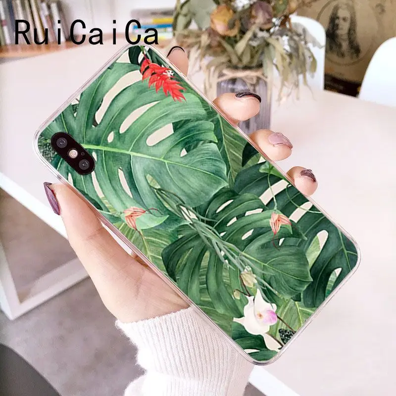 Palm tree Leaves Plant Flower