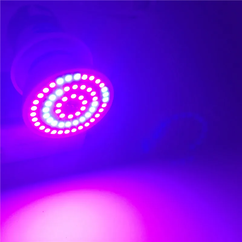 

Leedome E27 Led Bulb Lamp Full Spectrum 60Leds Grow Lamp 41 Red :19 Blue Flowering Plant Growing and Hydroponics Tent Box Lights