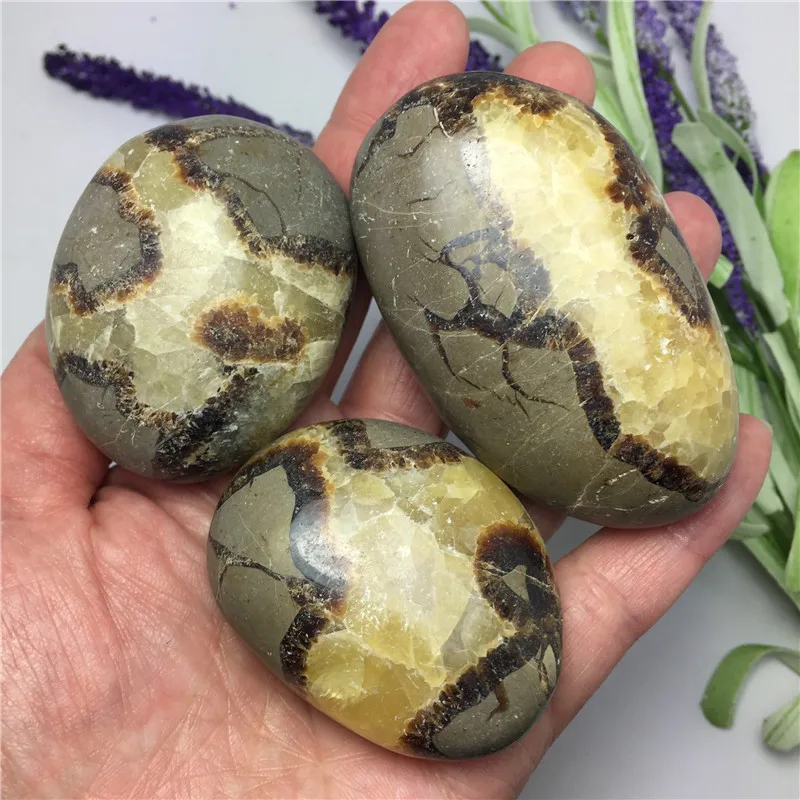 

1pcs Natural Septarium Palm Stone Crystal Stone Irregular Smooth Polished Pebble Reiki Healing Chakra Stone