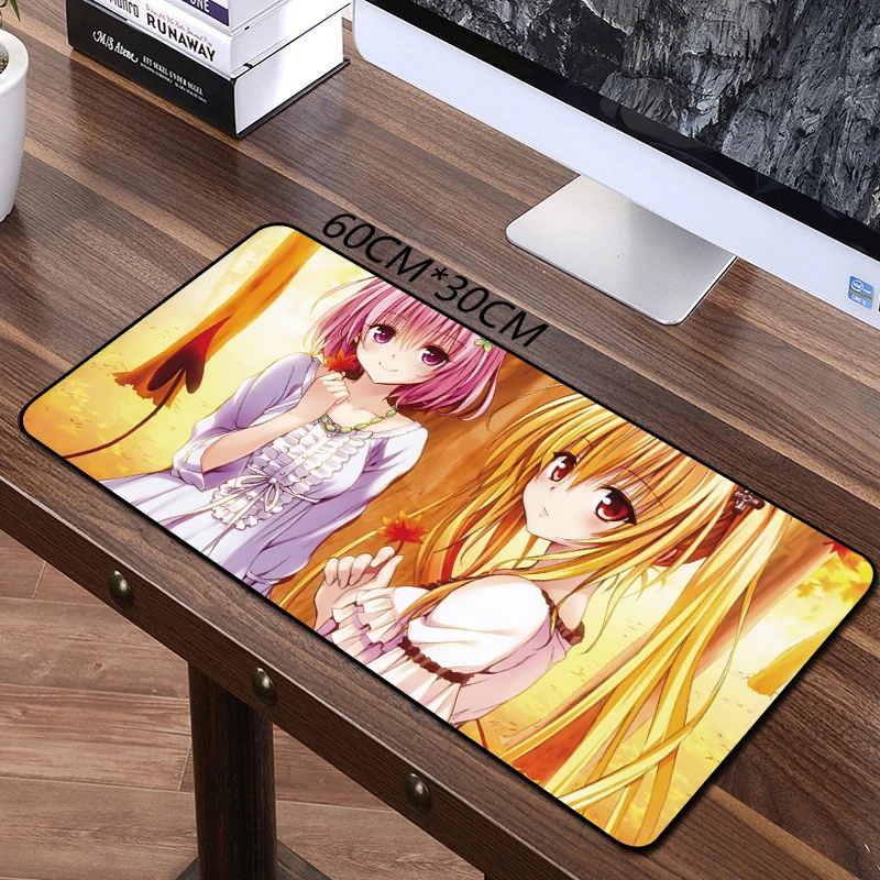 60X30 a