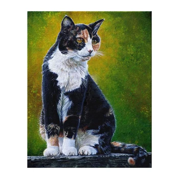 

Hand painted canvas art realist wall pictures for living room cheap oil paintings cat pet home decor cavans painting
