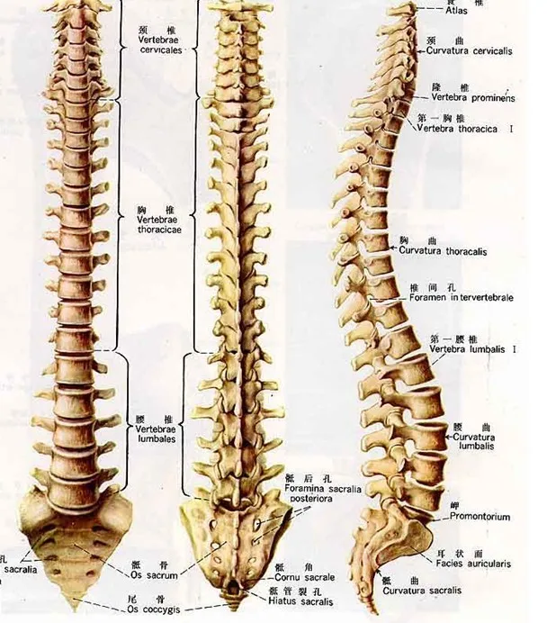 Борьба против ревматоидного артрита анкиллинга спондилита. Анти Ра и как
