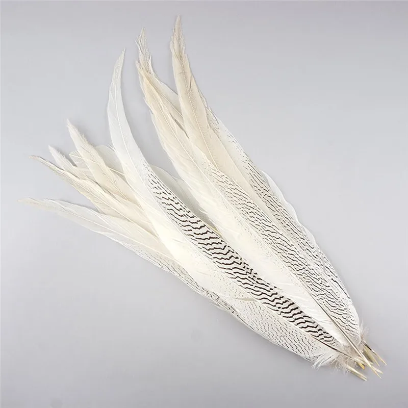 natural-silver-pheasant-feather-tail-sp25--n-main