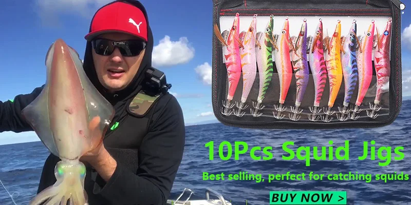 squid jigs2