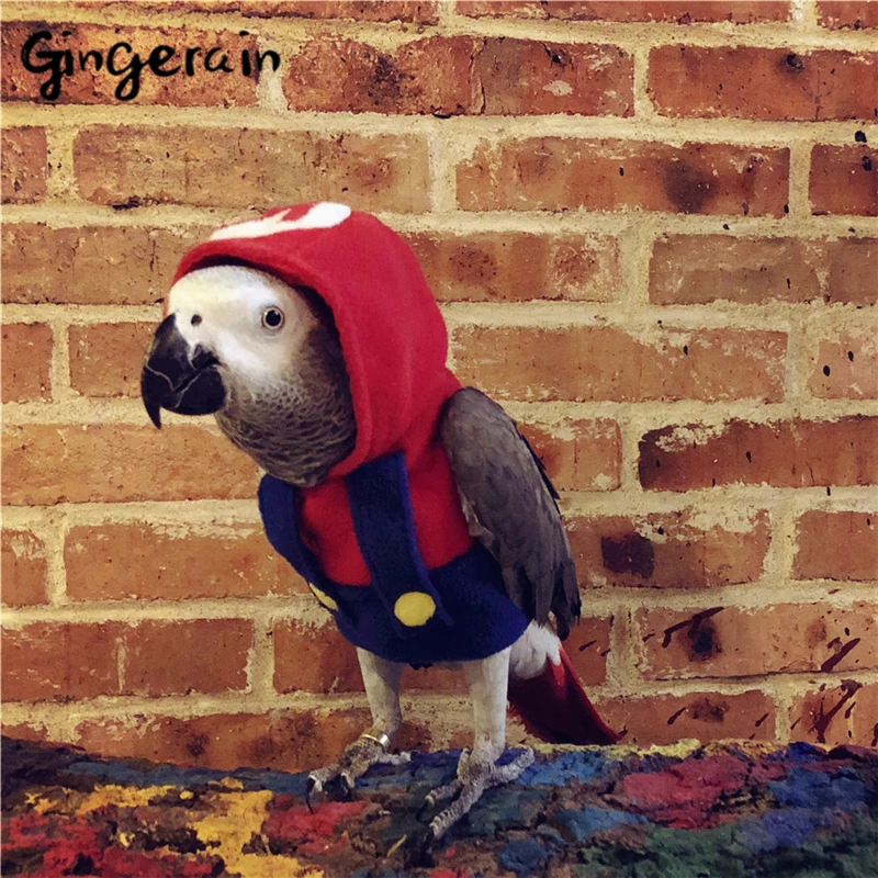 Gingerain одежда с птицами и попугаями оригинальная ручной работы свитер