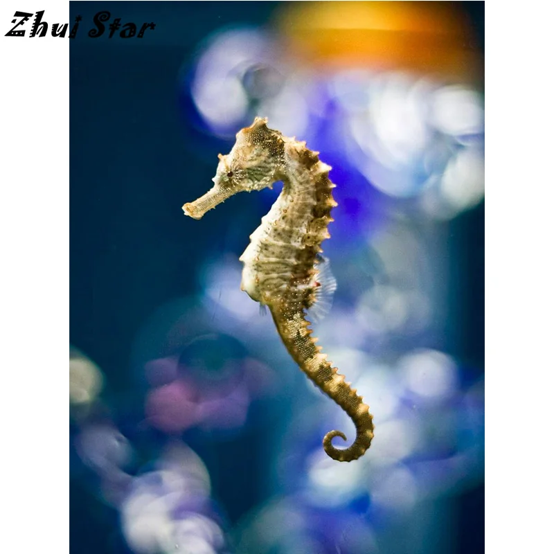 

NEW Diamond Embroidery DIY Diamond Painting Landscape Seahorse Diamond Painting Cross Stitch Rhinestone Mosaic FC1262