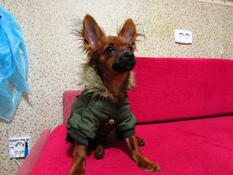 UT8TaHTXvFXXXagOFbXI