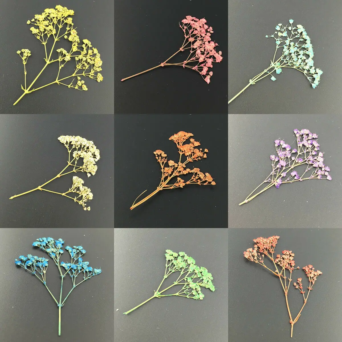 10 шт./пакет 3D сухих цветов Довольно сохраненный цветок DIY Маникюр нейл-арта украшения 10 Цвета для УФ-гель акрил для Неил арта украшения для кончиков ногтей