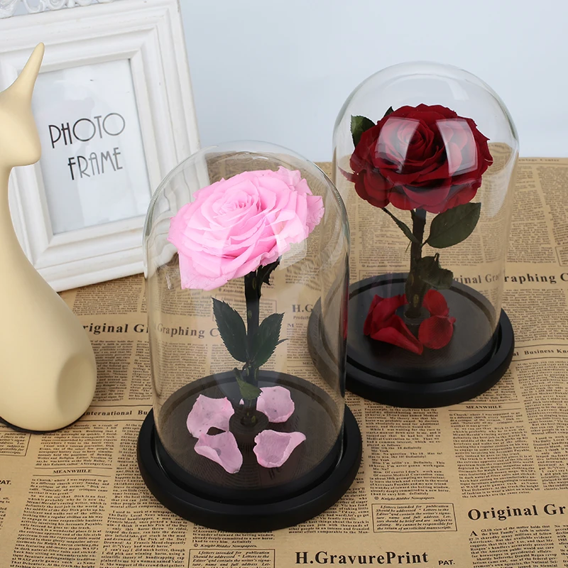 431254_6ca92169fc914a16b48271ad2ab3c9d8