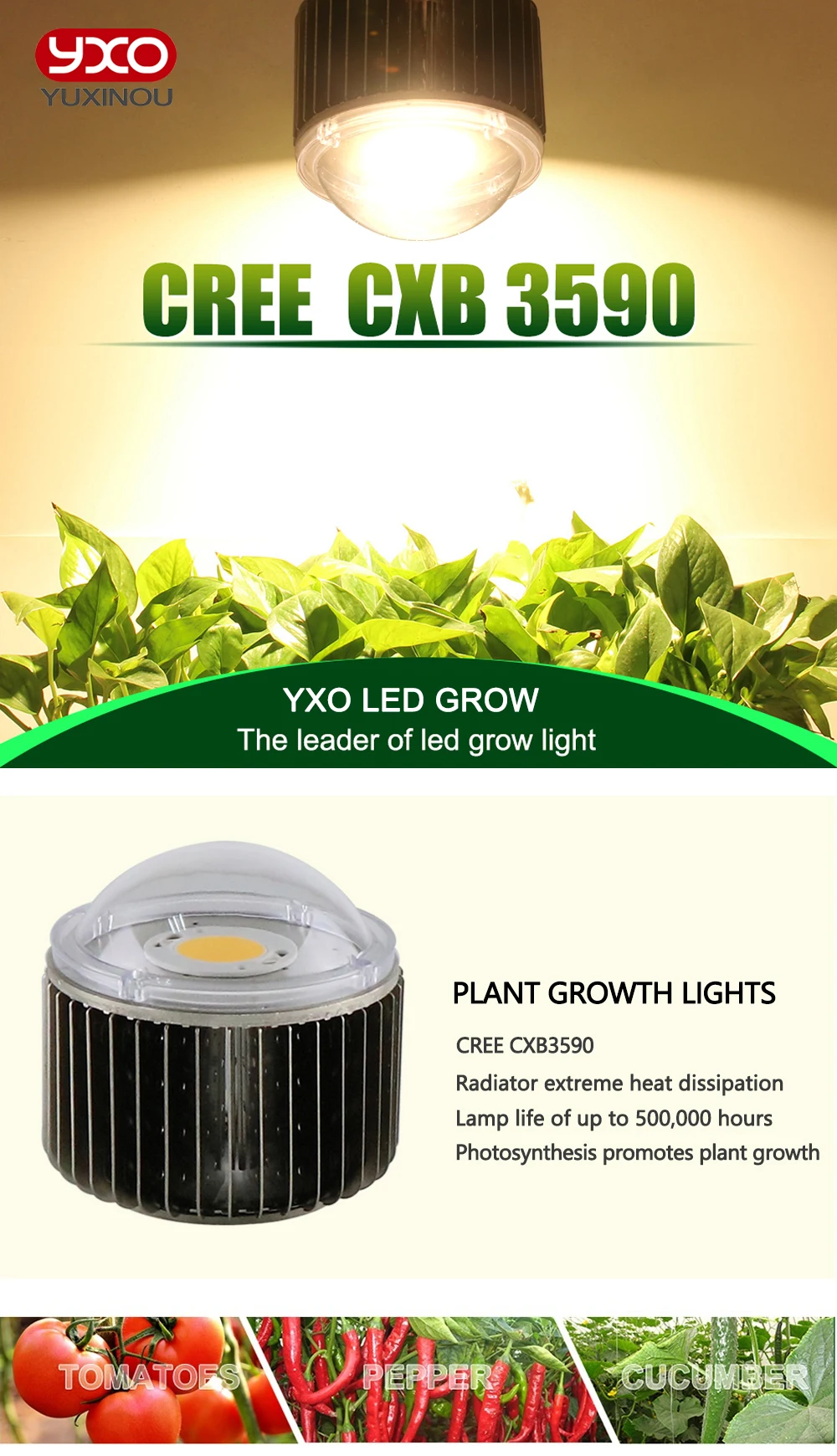 1 шт. DIY Cree CXB3590 CXB 3590 светодиодный светильник 80 CRI 3000 K/3500 K/5000 K 36 В с радиатором/пастой/объективом для медицинских растений