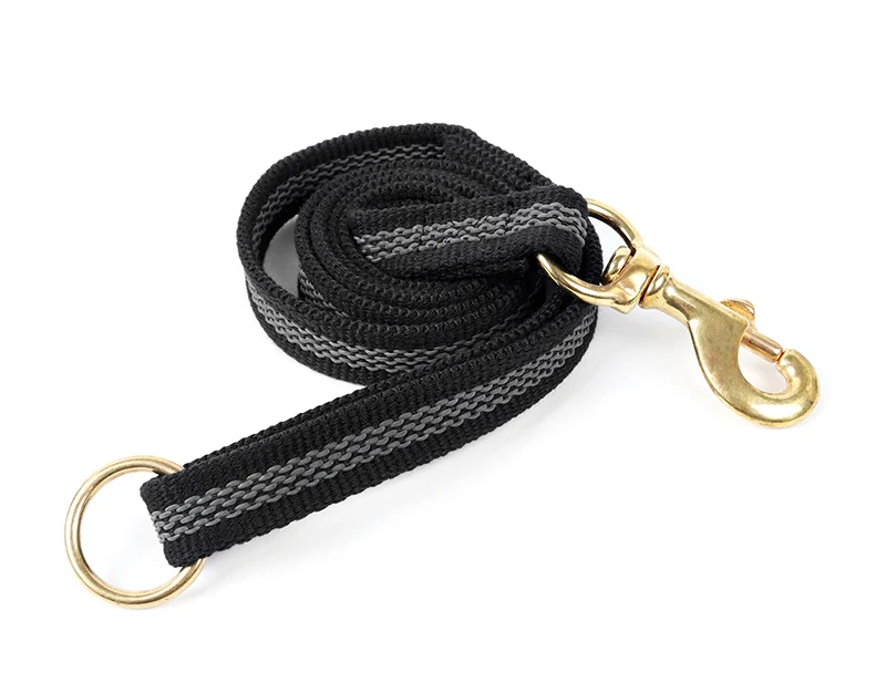 dog-leash-30306-d4
