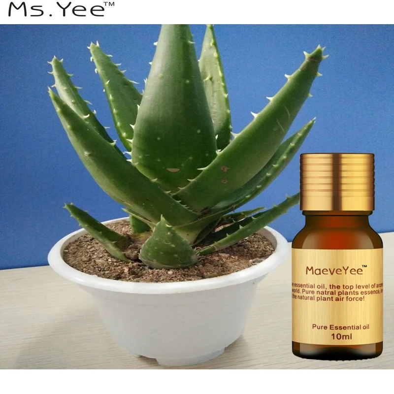 aloe vera per psoriasi