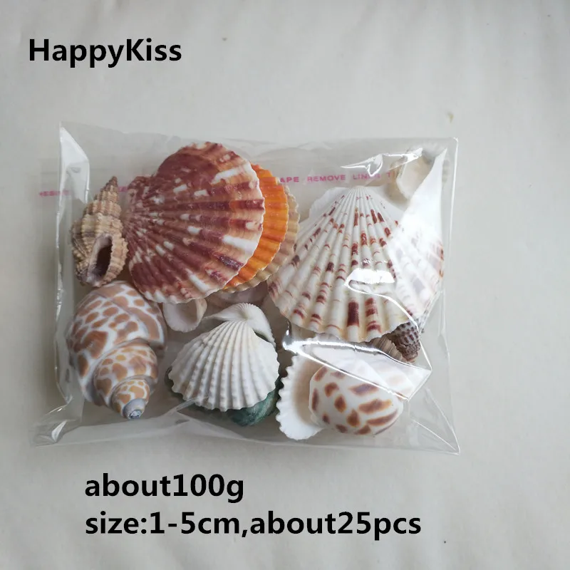 

Sea Shells Natural starfish sea conch 100g Fashion Decoration Beach Fashion Seashells for DIY Caft Decor