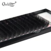All Sizes 20 Pcs Black Mixed Individual Eyelash Extension Set Mink Silk Fake Eye Lashes in South Korea Materials 5