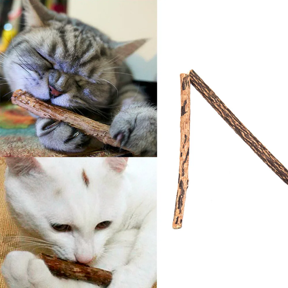 

2pcs Cat Cleaning Teeth Natural Catnip Pet Cat Molar Toothpaste Stick Fruit Natural Silvervine Cat Snacks Sticks Toys